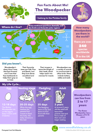 Woodfield Way Activity Sheets
